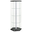 Tampa Furniture Outlet - Coaster - Zahavah 4-shelf Hexagonal Clear Glass Curio Cabinet Black - 950276