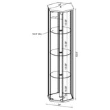 Zahavah 4-shelf Hexagonal Clear Glass Curio Cabinet Black - Tampa Furniture Outlet