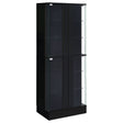 Tampa Furniture Outlet - Coaster - Cabra 4-door LED Curio Display Cabinet Black High Gloss - 950398