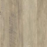 Denia 3-tier Engineered Wood Shoe Cabinet White - Tampa Furniture Outlet