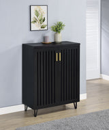 Brixton 2-door Entryway Shoe Storage Cabinets Black - Tampa Furniture Outlet