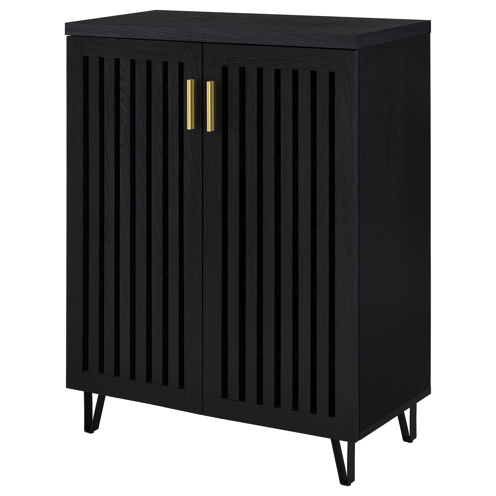 Brixton 2-door Entryway Shoe Storage Cabinets Black - Tampa Furniture Outlet