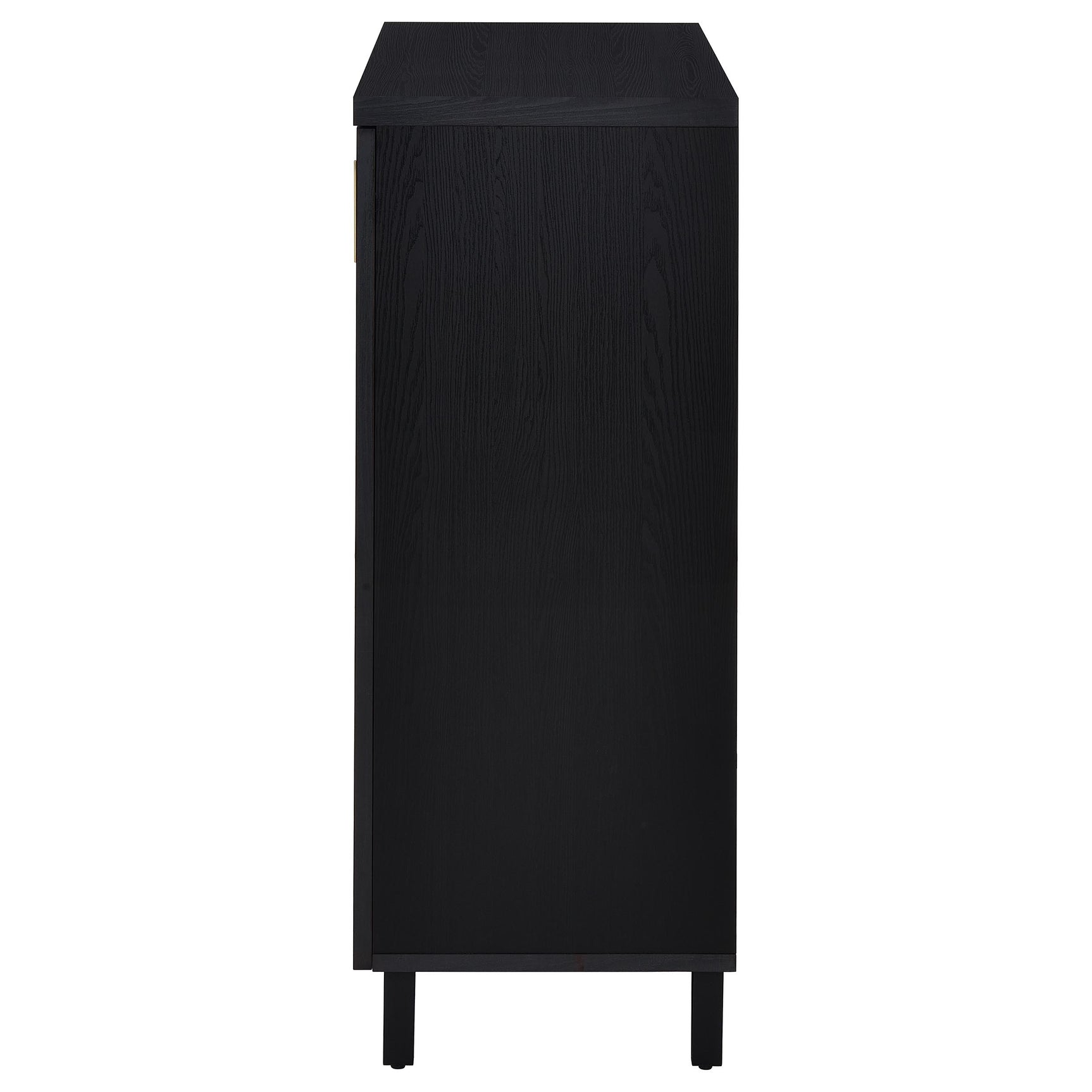 Brixton 2-door Entryway Shoe Storage Cabinets Black - Tampa Furniture Outlet