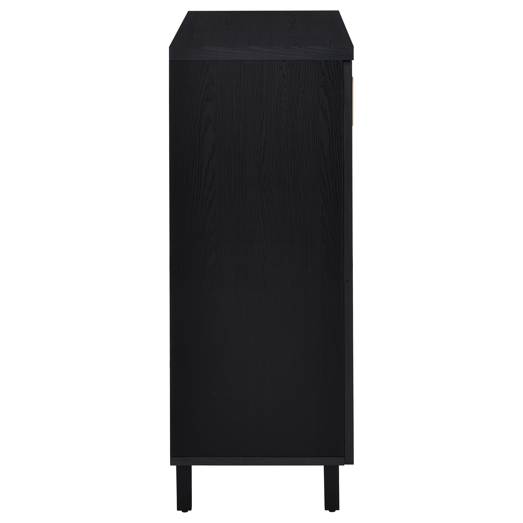 Brixton 2-door Entryway Shoe Storage Cabinets Black - Tampa Furniture Outlet