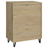 Brixton 2-door Entryway Shoe Storage Cabinets White Oak - Tampa Furniture Outlet