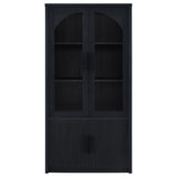Riva 4-door Tall Accent Display Cabinet LED Lighting Black