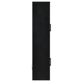 Riva 4-door Tall Accent Display Cabinet LED Lighting Black
