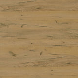 Bristol 6-shelf Engineered Wood Shoe Cabinet Golden Oak - Tampa Furniture Outlet