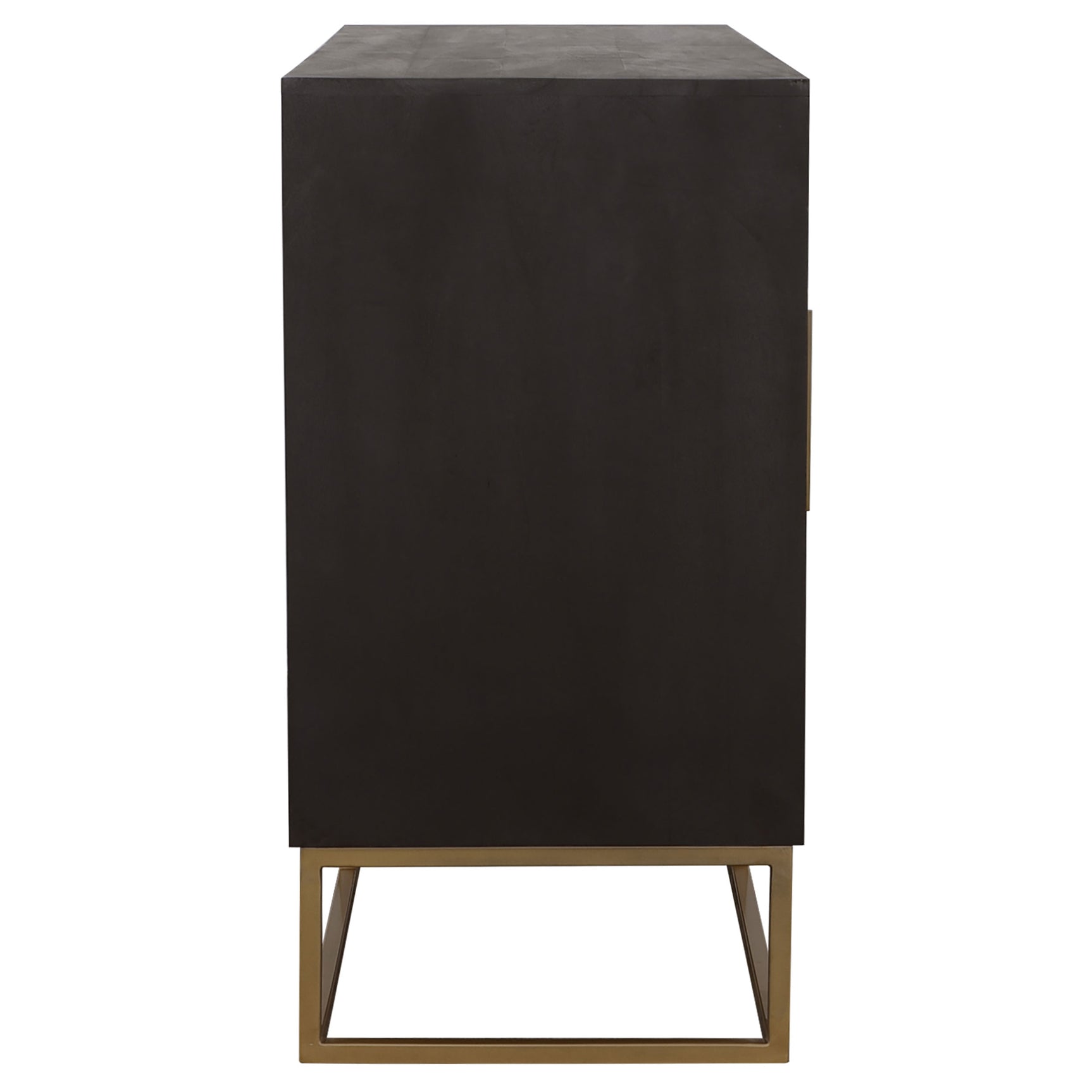 Zara 2-door 57-inch Wood Accent Storage Cabinet Black Walnut - Tampa Furniture Outlet