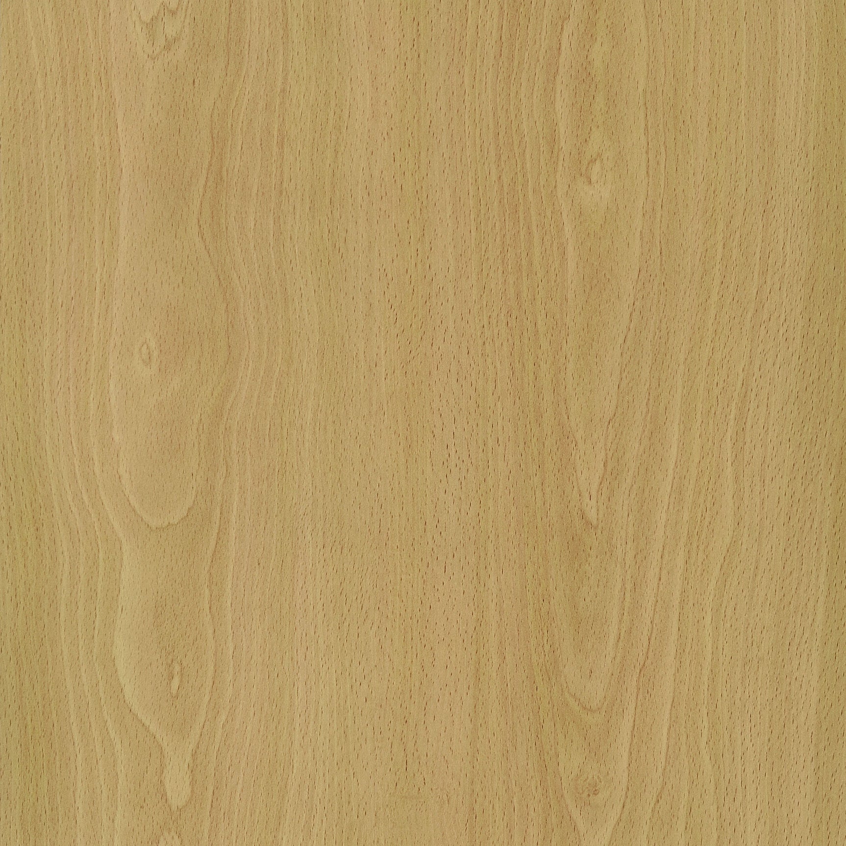Mattison 4-Panel Room Divider Folding Shoji Screen Natural - Tampa Furniture Outlet