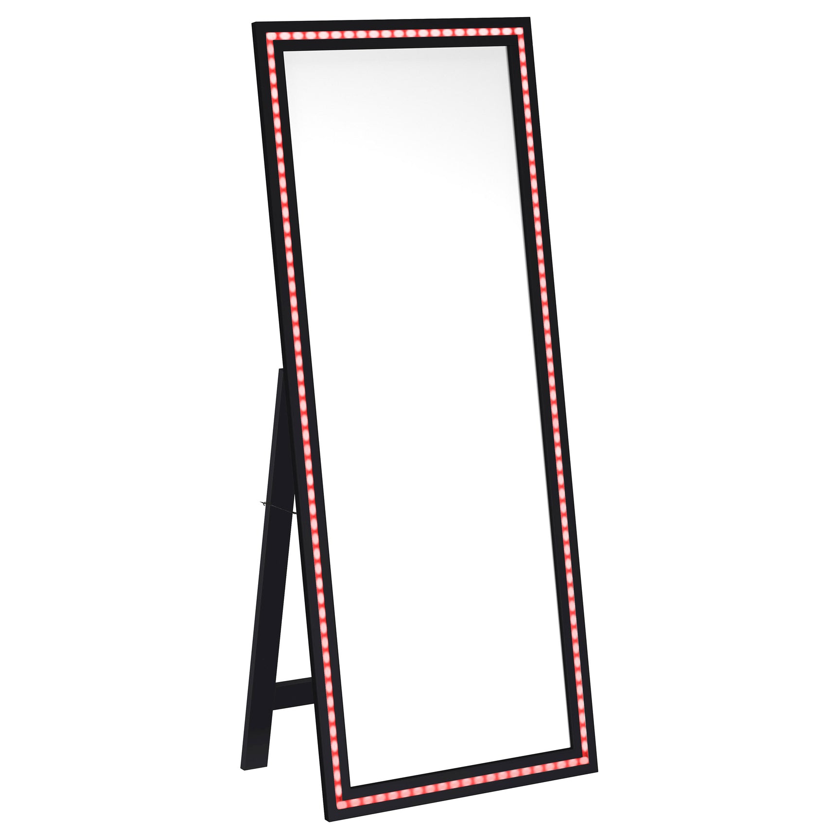 Windrose 28 x 67 Inch Tempered LED Standing Mirror Black - Tampa Furniture Outlet