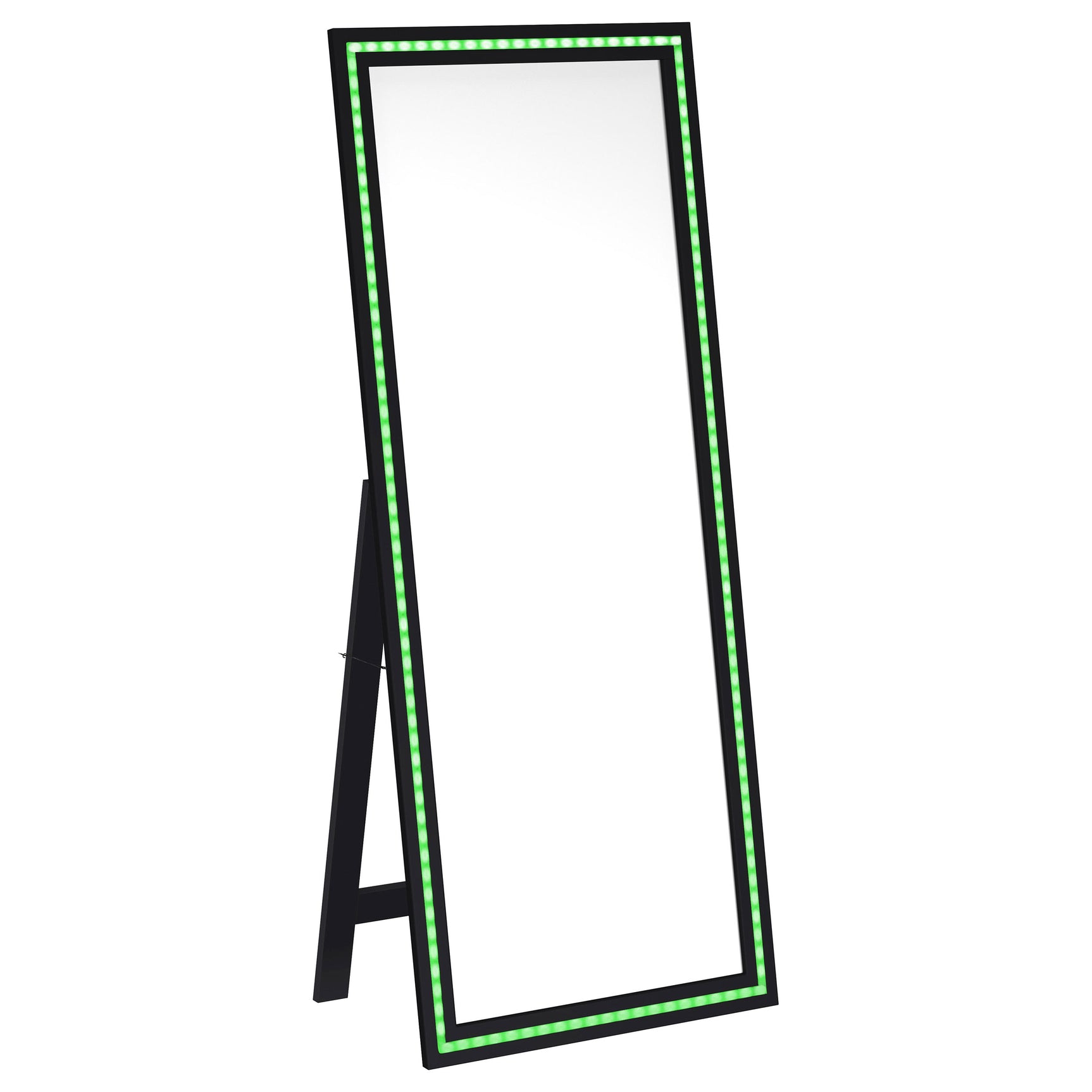 Windrose 28 x 67 Inch Tempered LED Standing Mirror Black - Tampa Furniture Outlet