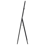 Windrose 28 x 67 Inch Tempered LED Standing Mirror Black - Tampa Furniture Outlet