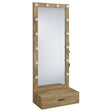 Tampa Furniture Outlet - Coaster - Spector 1-drawer Lighted Full-Length Floor Mirror Mango - 960965
