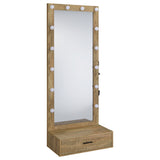 Tampa Furniture Outlet - Coaster - Spector 1-drawer Lighted Full-Length Floor Mirror Mango - 960965