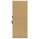 Spector 1-drawer Lighted Full-Length Floor Mirror Mango