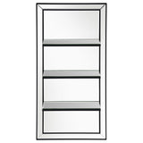 Oriel 24 x 47 Inch Rectangular 3-Shelf Wall Mirror Silver - Tampa Furniture Outlet