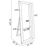 Soline 22 x 61 Inch Framed Standing Floor Mirror Silver - Tampa Furniture Outlet