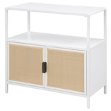 Amherst 2-door Radio Weave Cane Metal Accent Cabinet White - Tampa Furniture Outlet