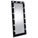 Zayan 32 x 71 Inch Floor Mirror LED Lighting Black Gloss - Tampa Furniture Outlet