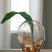 Tampa Furniture Outlet - Ashley Furniture - Ewart Vase - Vase / Light Brown - A2000866