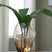 Ewart Vase - Tampa Furniture Outlet
