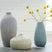 Tampa Furniture Outlet - Ashley Furniture - Eiderman Vase - Vase Set (3/CN) - A2000913