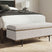 Tampa Furniture Outlet - Ashley Furniture - Dettaford Next-Gen Nuvella Storage Bench - Storage Bench - A3000848