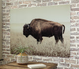 Brutus Wall Decor - Tampa Furniture Outlet