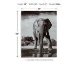 Glinyard Wall Decor - Tampa Furniture Outlet