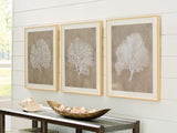 Tampa Furniture Outlet - Ashley Furniture - Hendridge Wall Decor - Wall Art Set (3/CN) / Taupe/White - A8000486