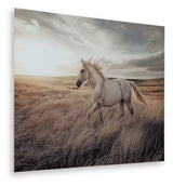 Tampa Furniture Outlet - Ashley Furniture - Errolville Wall Decor - Wall Art / Multi - A8000489