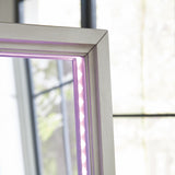 Evesen Mirror - Tampa Furniture Outlet