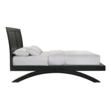 Allan Queen Bed in Black - Tampa Furniture Outlet