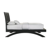 Allan Twin Bed in Black - Tampa Furniture Outlet