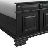 Bridgestone Queen Panel Bed in Black - Tampa Furniture Outlet