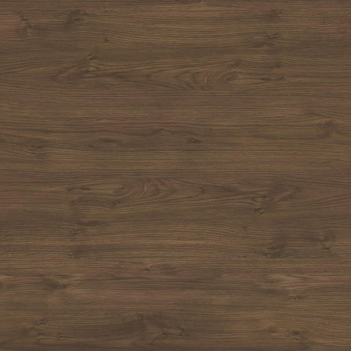 Brisbane Server in Brown