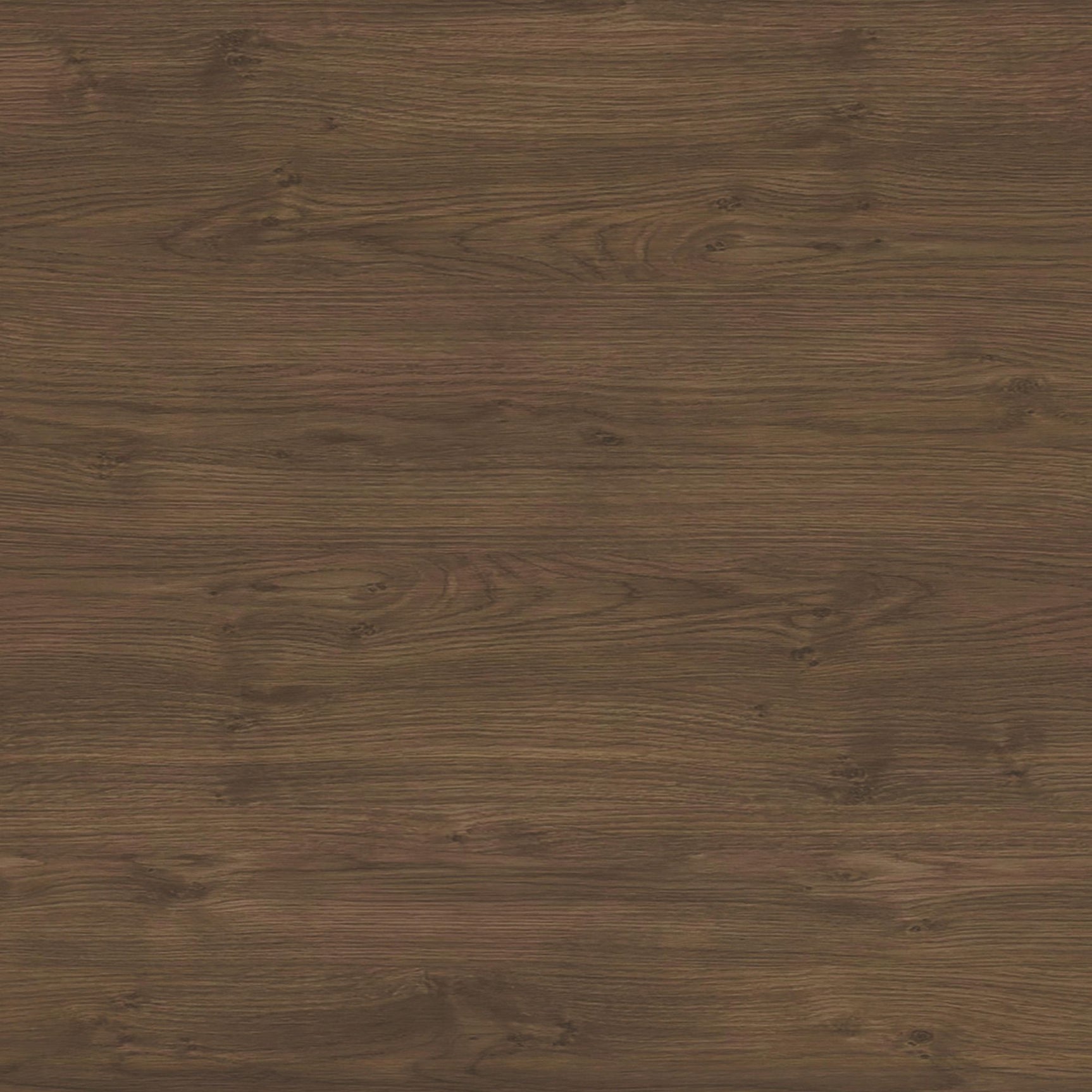 Brisbane Dining Side Chair with Bozeman Brown PU in Brown (2 Per Carton) - Tampa Furniture Outlet