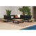 Cabana Coffee Table with Natural Top in Black – SKU O-188820-8-CT | Elements
