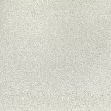 Cambrie UPH Swivel Bar Stool with Beige Boucle in Natural (2 Per Carton) - Tampa Furniture Outlet