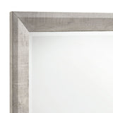Eleanor Dresser & Mirror Set in White - Tampa Furniture Outlet