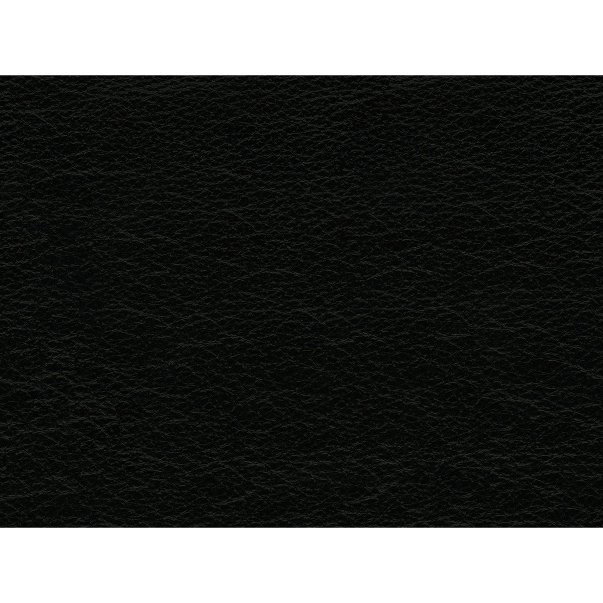 Hampton Chair In Fiero Black (Top Grain/PVC)