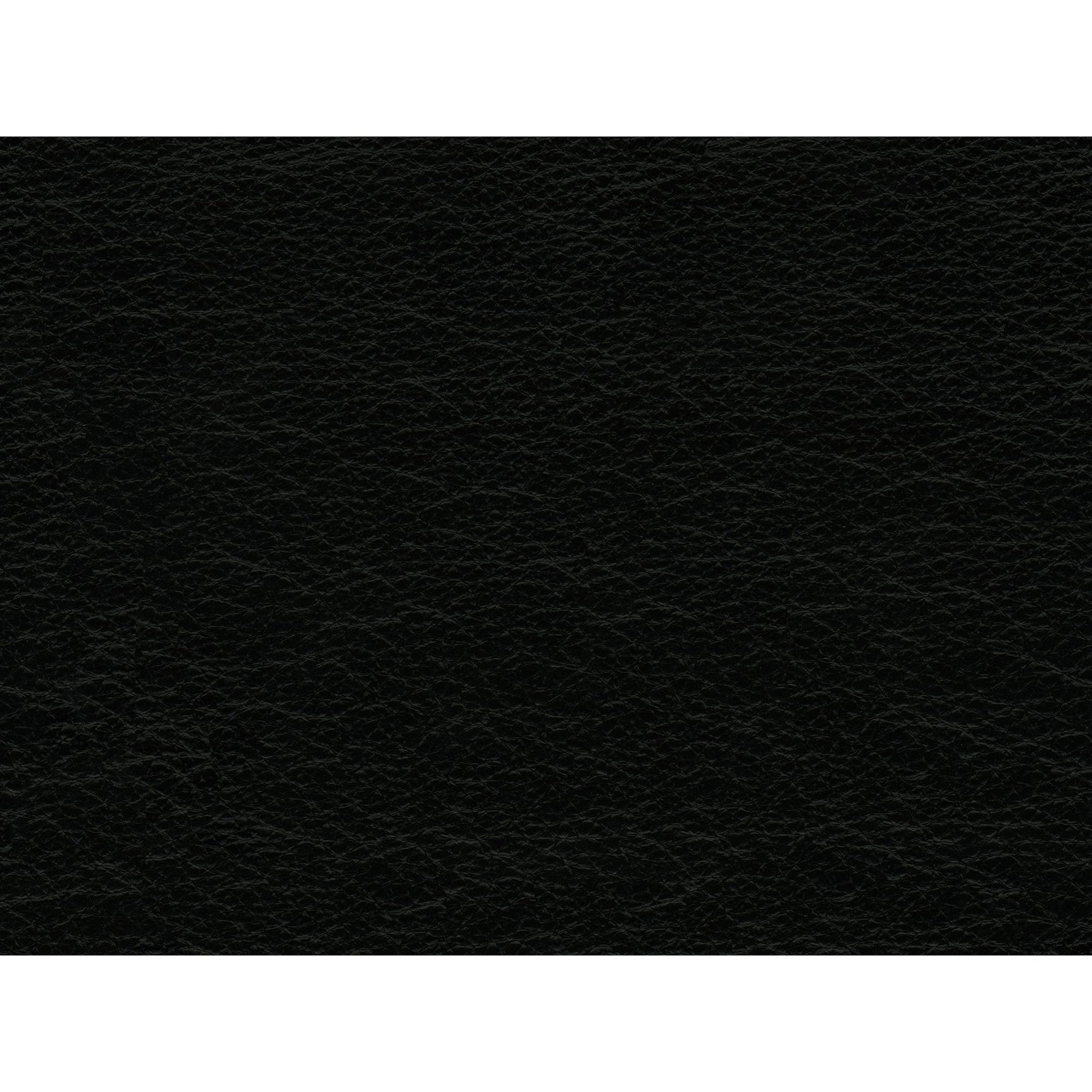 Hampton Chair In Fiero Black (Top Grain/PVC) - Tampa Furniture Outlet