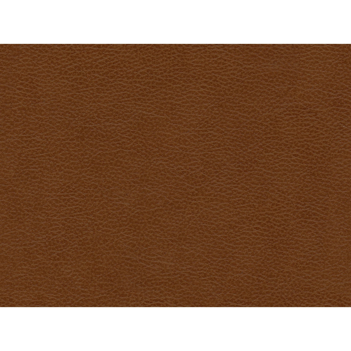 Hampton Loveseat in Fiero Tan (Top Grain/PVC)
