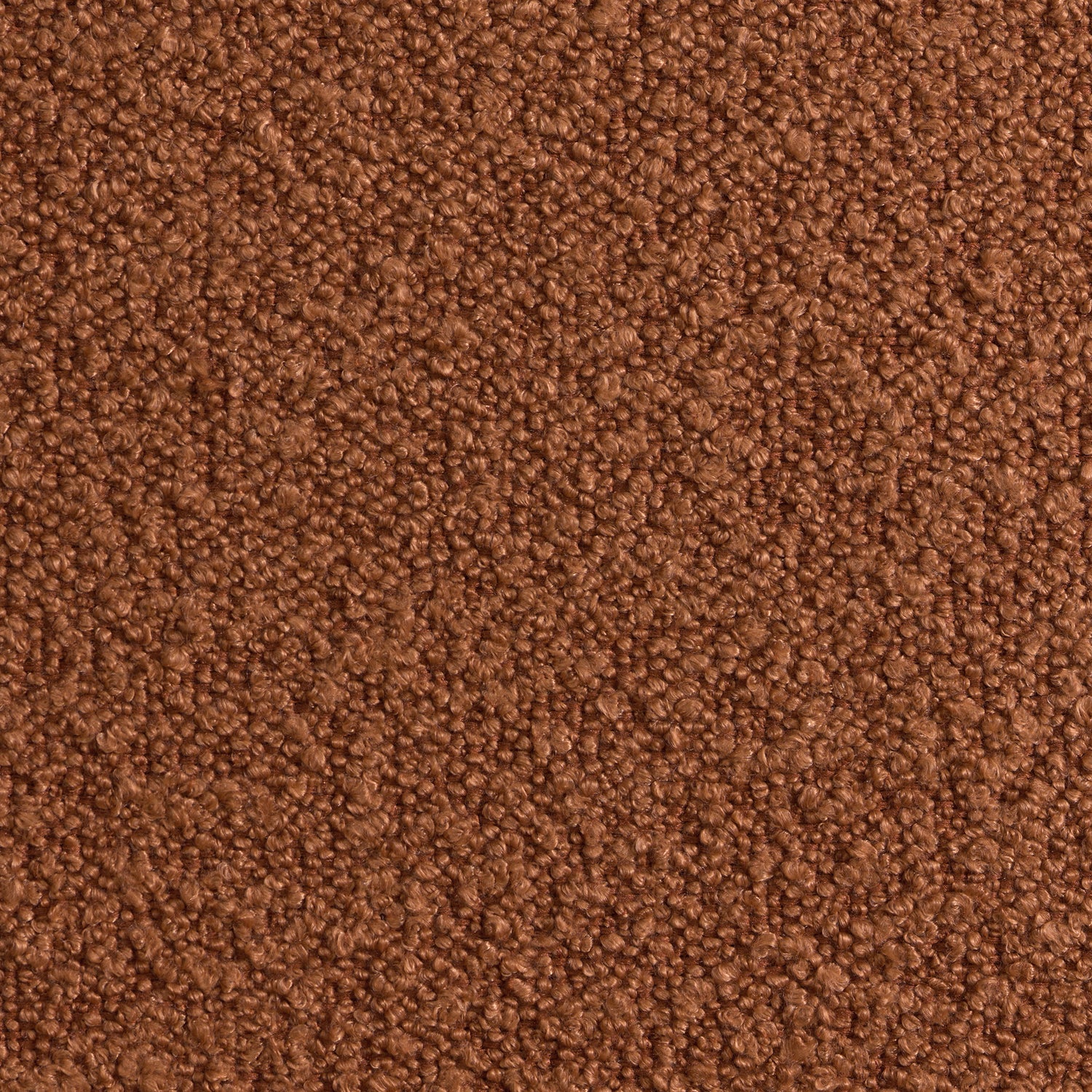 Kiwi Chair in 8077 Boucle Orange & Espresso - Tampa Furniture Outlet