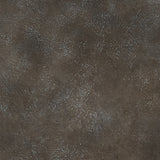 Zandophen Lighting - Tampa Furniture Outlet