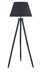 Orhan Lighting - Tampa Furniture Outlet