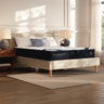 Tampa Furniture Outlet - Ashley Furniture - Dreamcloud Classic Memory Foam Mattresses - Queen - M12031