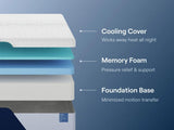 Nectar Classic Memory Foam Mattresses - Tampa Furniture Outlet