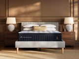 DreamCloud Premier Hybrid Mattresses - Tampa Furniture Outlet